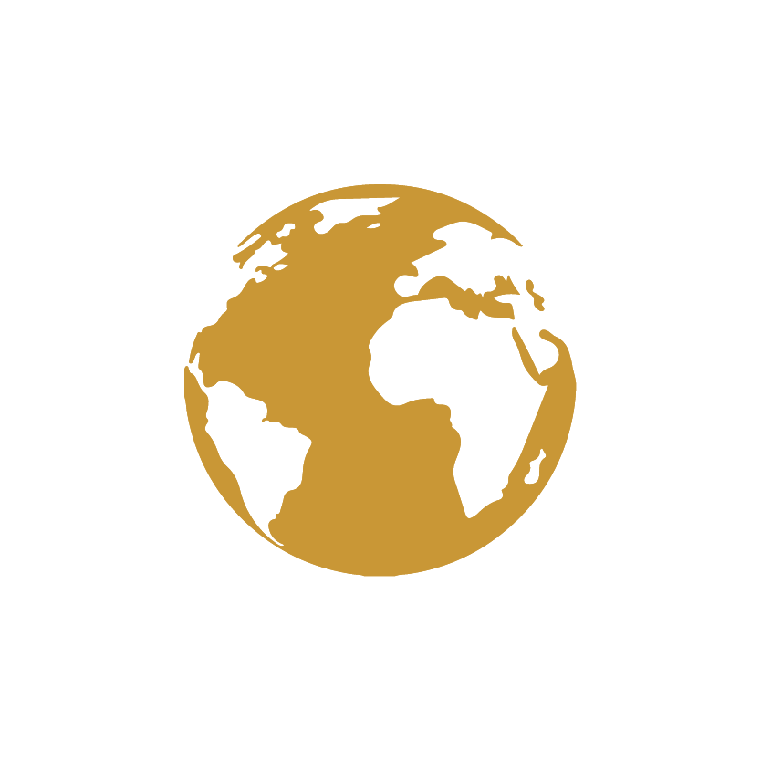 🌐